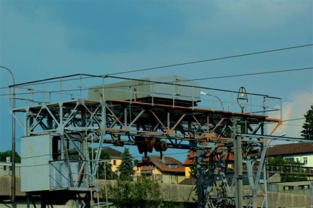 Grue M.JPG